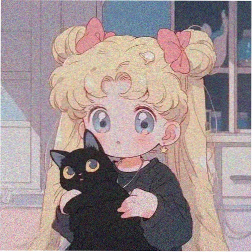 观众木野的头像